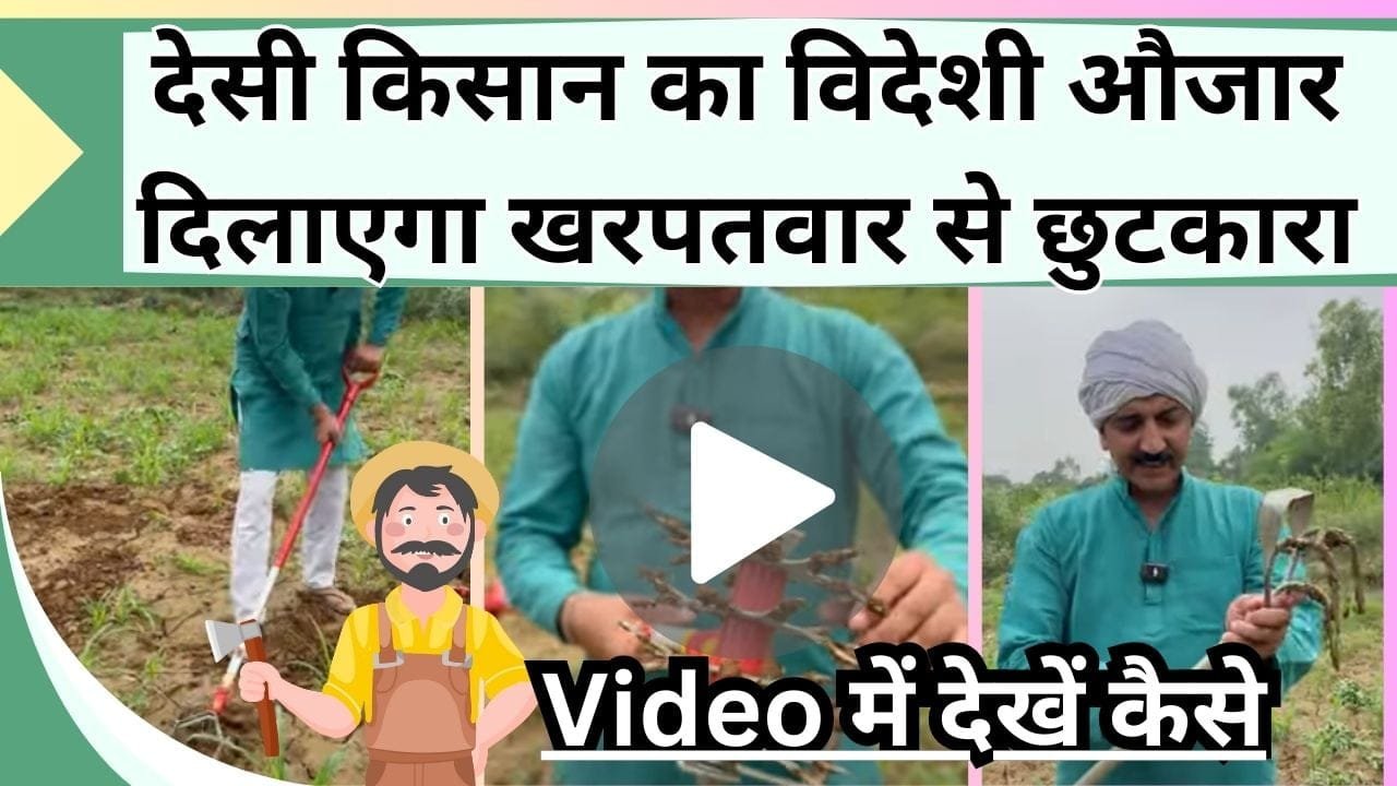 देसी किसान का विदेशी औजार दिलाएगा खरपतवार से छुटकारा, Video में देखें कैसे बिना मेहनत के हो रही निराई