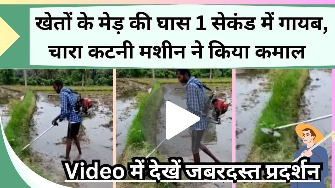 खेतों के मेड़ की घास 1 सेकंड में गायब, Video में देखें चारा कटनी मशीन का जबरदस्त प्रदर्शन, हो जाएंगे चकित