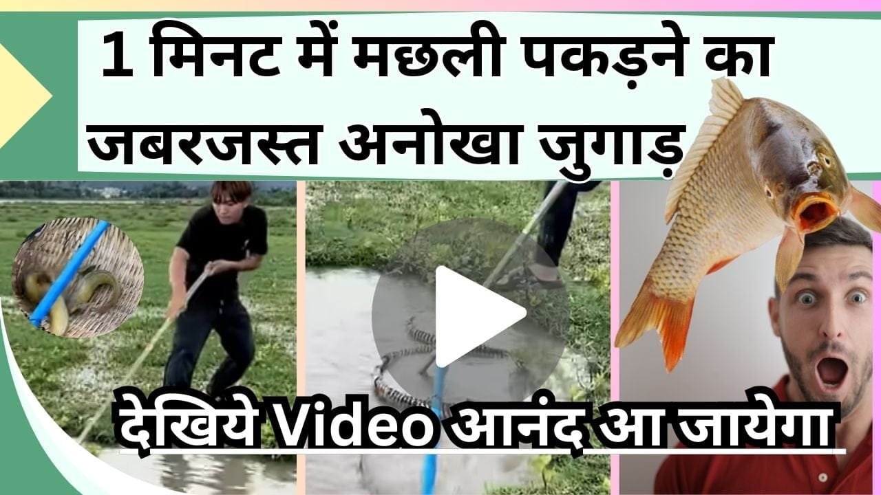 मछली पकड़ने का जबरजस्त अनोखा जुगाड़ देख आनंद आ जायेगा, देखिये Video में मछली पकड़ने का नया तरीका