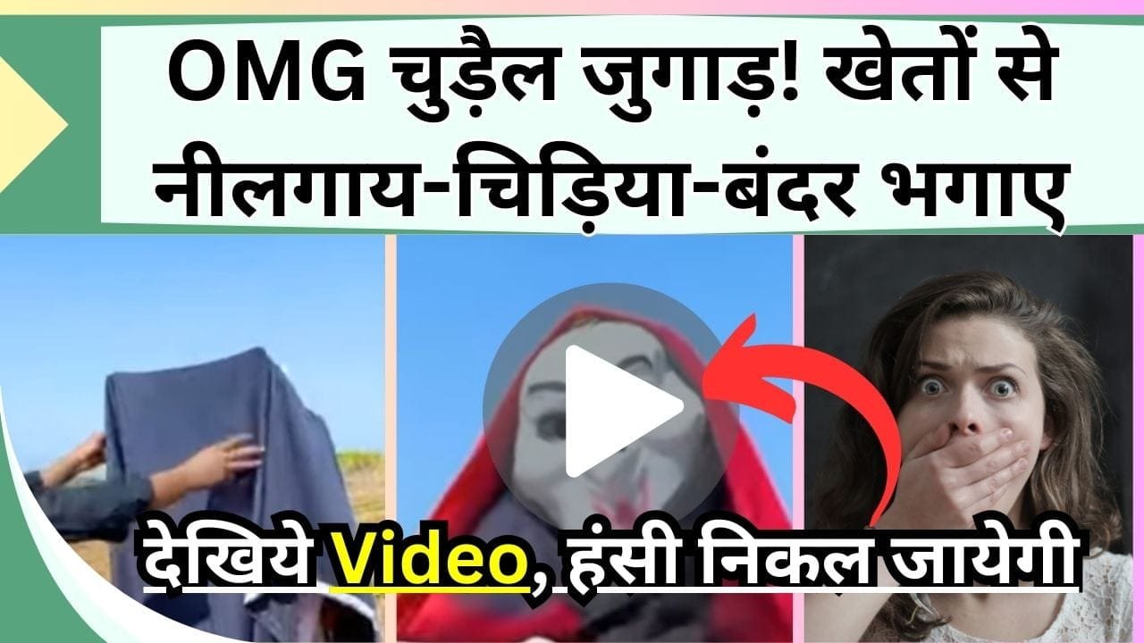 OMG चुड़ैल जुगाड़! खेतों से नीलगाय-चिड़िया-बंदर भगाने का डरावना जुगाड़ देख हंसी निकल जायेगी, Video देख लोगो ने कहा इंसान भी भाग जायेंगे