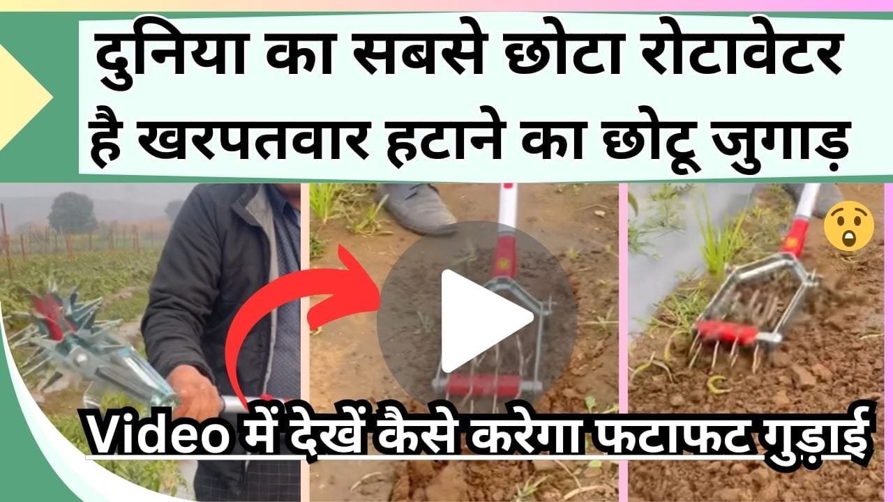 दुनिया का सबसे छोटा रोटावेटर, Video में देखें कैसे करेगा फटाफट गुड़ाई, ये है खरपतवार हटाने का छोटू जुगाड़