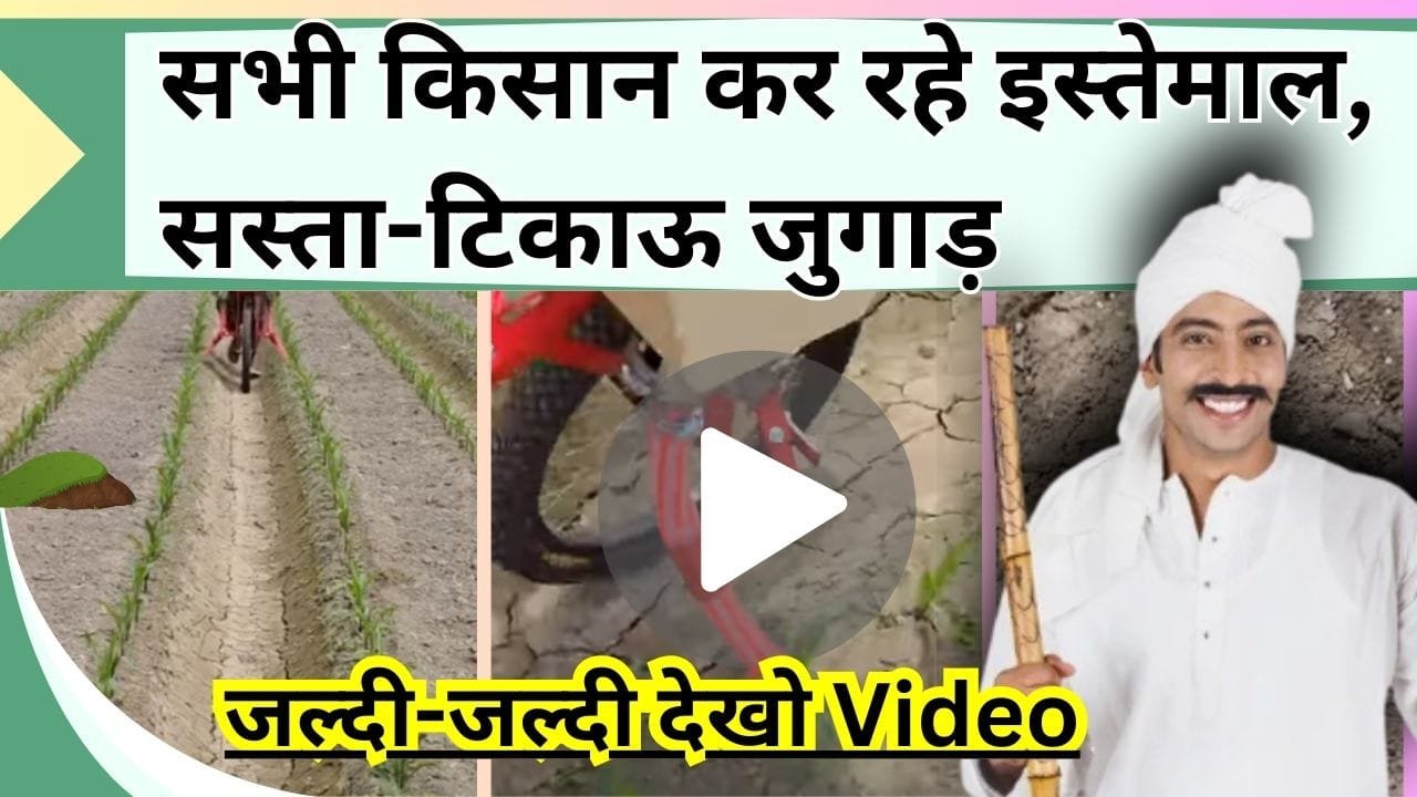 अभी भी नहीं देखा ये जुगाड़, तो जल्दी-जल्दी देखो Video, सभी किसान कर रहे इस्तेमाल, सस्ता-टिकाऊ और काम का जुगाड़