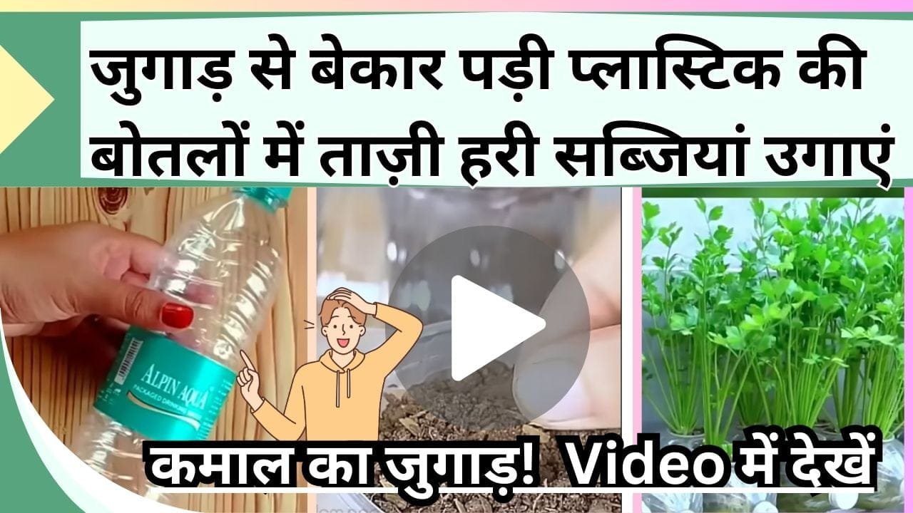 कमाल का जुगाड़! बेकार पड़ी प्लास्टिक की बोतलों से ताज़ी हरी सब्जियां घर में खाने को मिलेंगी, Video में देखें कैसे