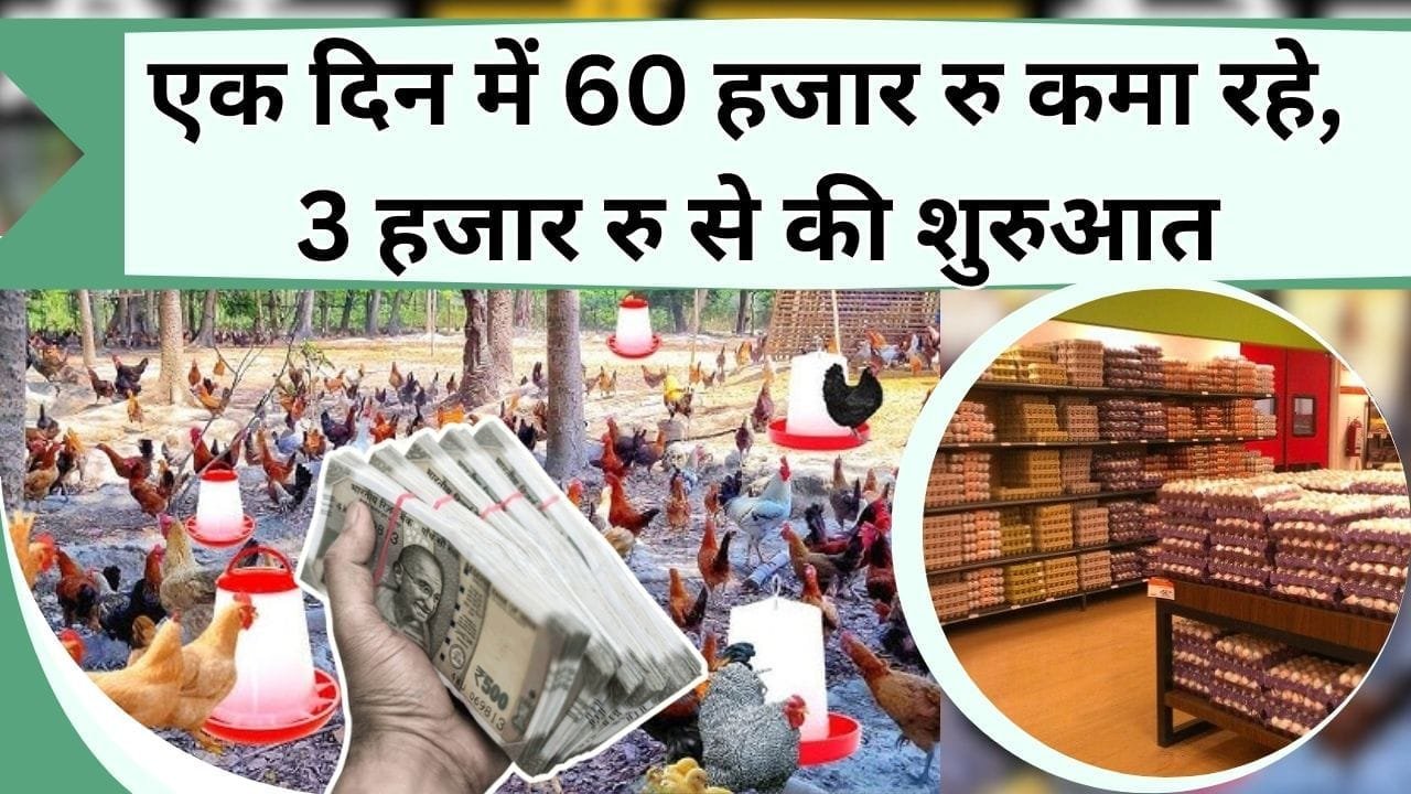 एक दिन में 60 हजार रु कमा रहे, 3 हजार रु से की शुरुआत, अब 50 एकड़ में फैला है कारोबार, जानिये सफलता की कहानी