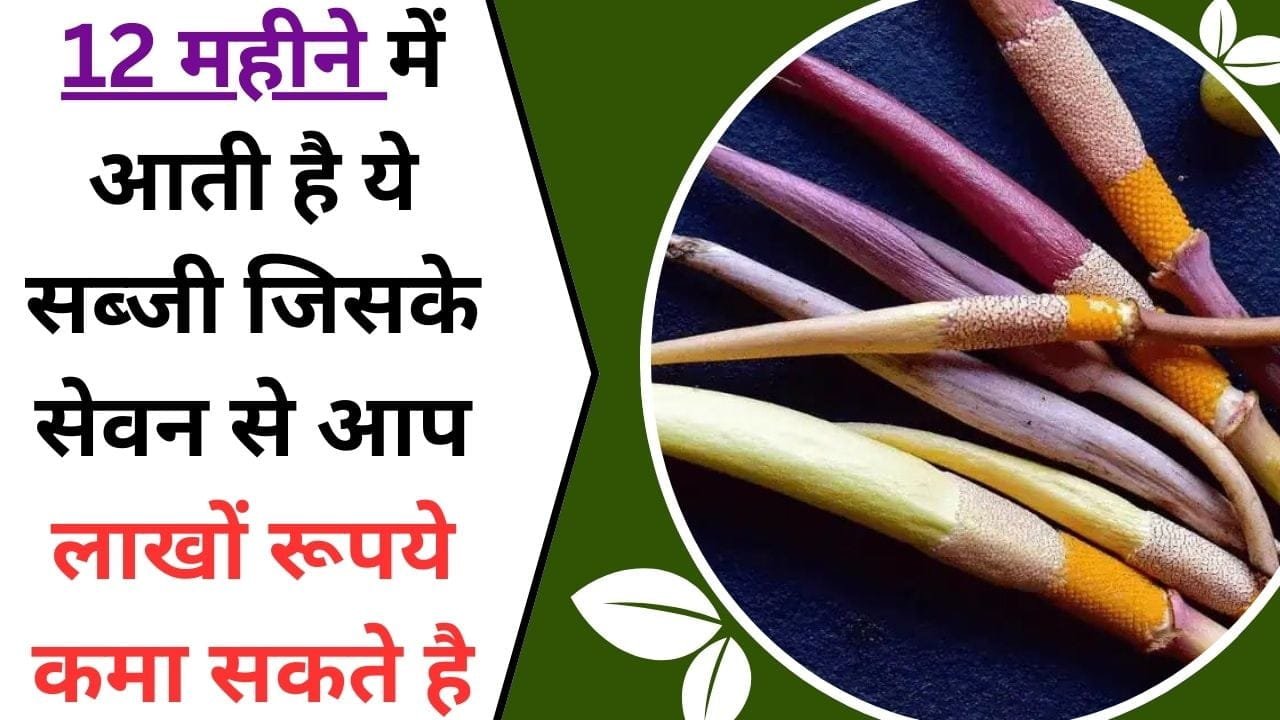 12 महीने में आती है ये सब्जी, जिसके सेवन से आप लाखों रूपये कमा सकते है, जानिए इस फसल का नाम