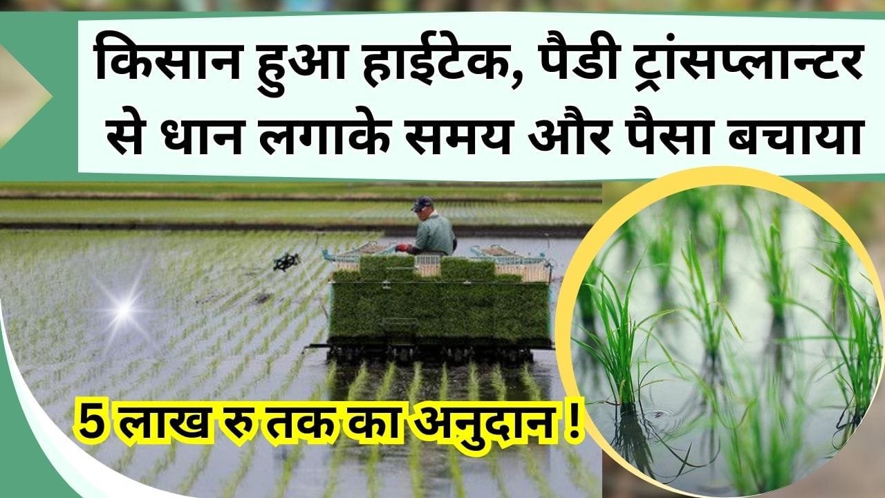 5 लाख रु तक का अनुदान, किसान हुआ हाईटेक, पैडी ट्रांसप्लान्टर से लगाया धान, समय और पैसा दोनों बचा, जानिये कैसे