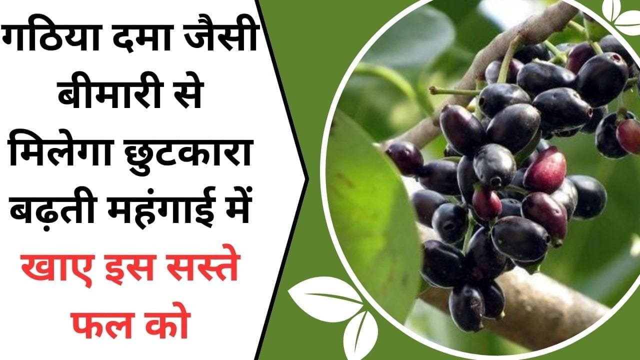 गठिया, दमा जैसी बीमारी से मिलेगा छुटकारा, बढ़ती महंगाई में खाए इस सस्ते फल को, पढ़िए इस फल के बारे में