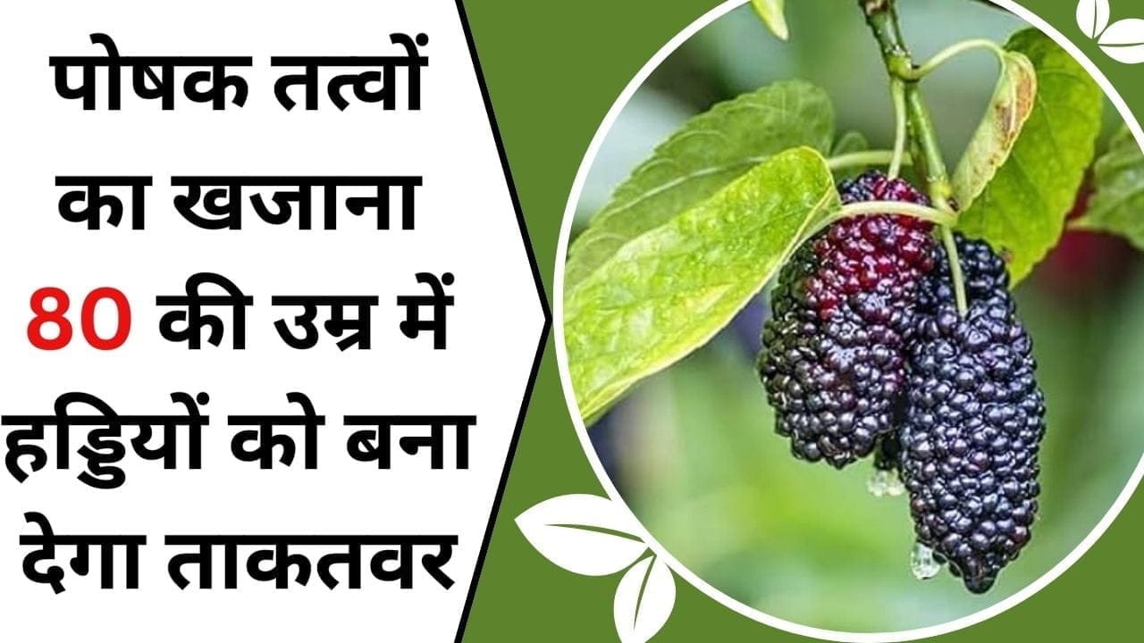 पोषक तत्वों का खजाना है ये फल, 80 की उम्र में भी हड्डियों को बना देगा ताकतवर, सेवन से शरीर रहेगा स्वस्थ, जानिए इस फल का नाम