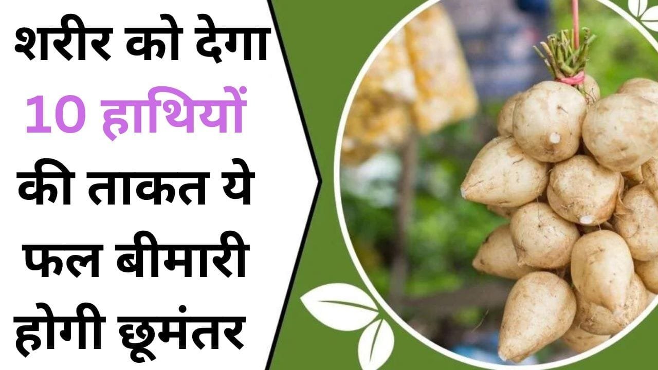 जिकामा क्यों है ये मूली से अलग? शरीर को देगा 10 हाथियों की ताकत, बीमारियाँ होगी आपसे कोसों दूर, जाने इस फल का नाम