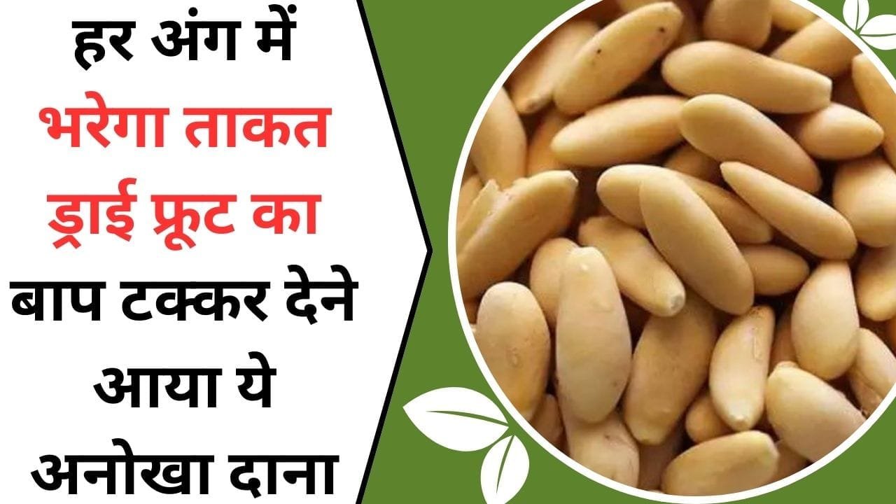 हर अंग में भरेगा ताकत से, ड्राई फ्रूट का बाप टक्कर देने आया ये अनोखा दाना, 50 के बाद भी रहेगी 20 वाली जवानी, जाने इस दाने का नाम