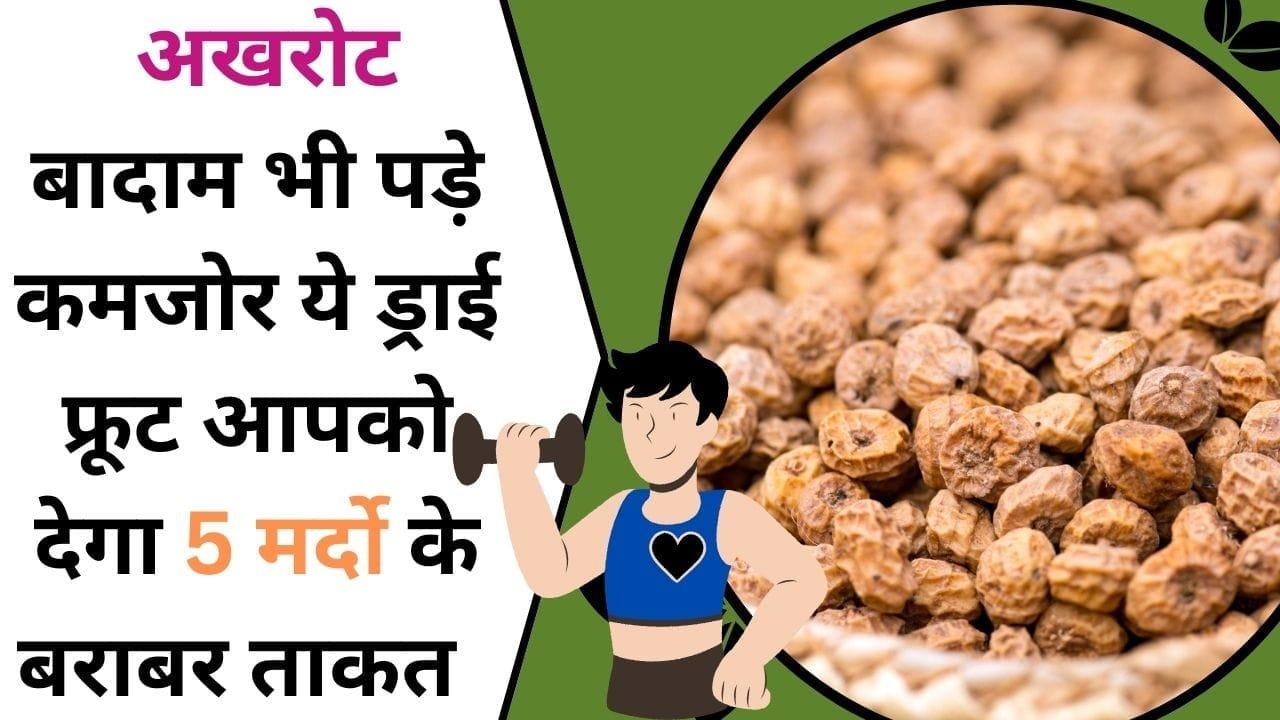 धरती के अखरोट,बादाम भी पड़े कमजोर, ये ड्राई फ्रूट आपको देगा 5 मर्दो के बराबर ताकत बस 28 ग्राम को कीजिये अपनी डाइट में शामिल