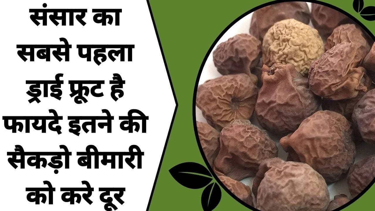 संसार का सबसे पहला ड्राई फ्रूट है, फायदे इतने की सैकड़ो बीमारी को करे दूर, जानिए इस ड्राई फ्रूट का नाम