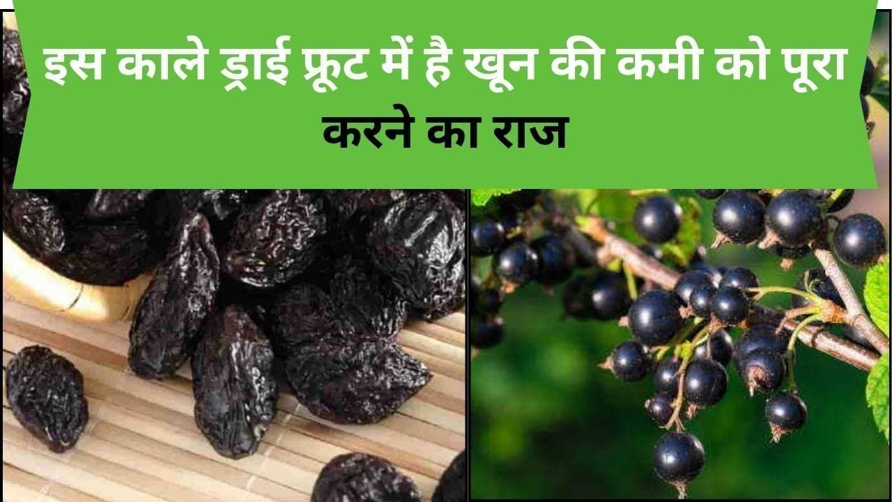 इस काले ड्राई फ्रूट में है खून की कमी को पूरा करने का राज, करता है कई बिमारियों का रामबाण इलाज, जाने इसका नाम