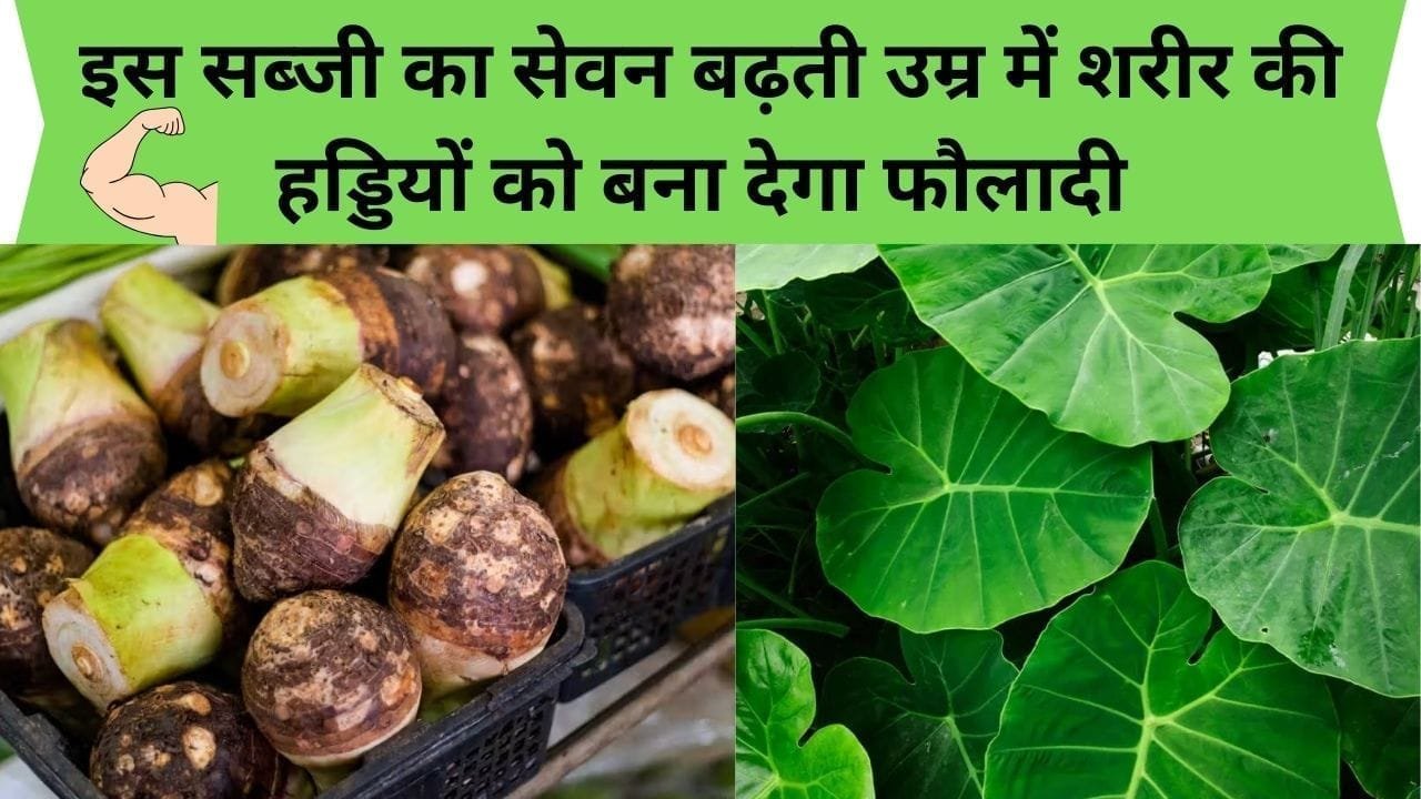 इस सब्जी का सेवन बढ़ती उम्र में शरीर की हड्डियों को बना देगा फौलादी, शरीर के अंग-अंग में फूंक देगा जान, जाने सब्जी का नाम