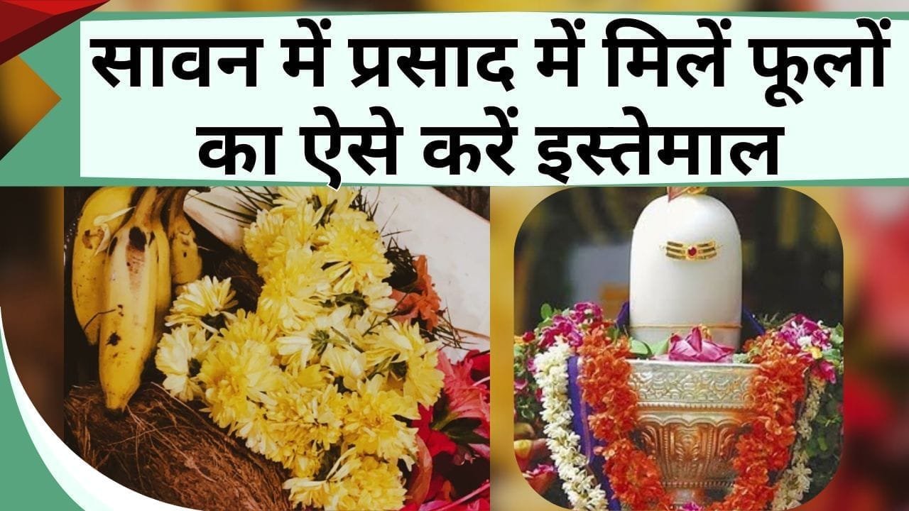 सावन में प्रसाद में मिलें फूलों का ऐसे करें इस्तेमाल, एक नहीं इन फूलों के अनेक फायदें हैं