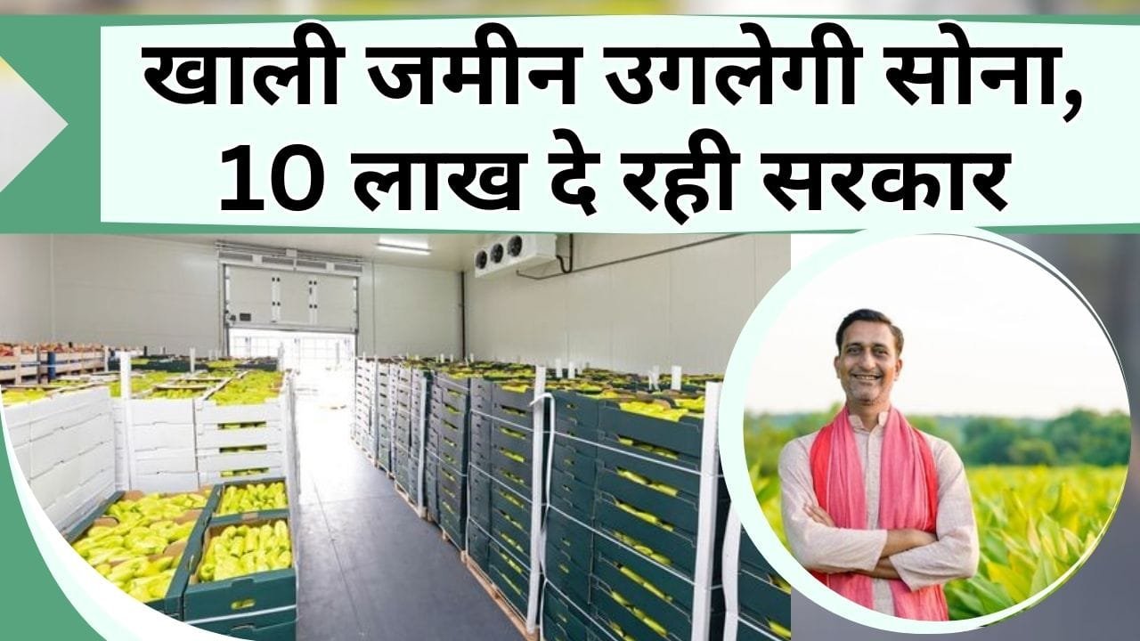 खाली जमीन उगलेगी सोना, 10 लाख दे रही सरकार, बन जायेगे धनवान, 31 अगस्त से पहले यहाँ करें आवेदन