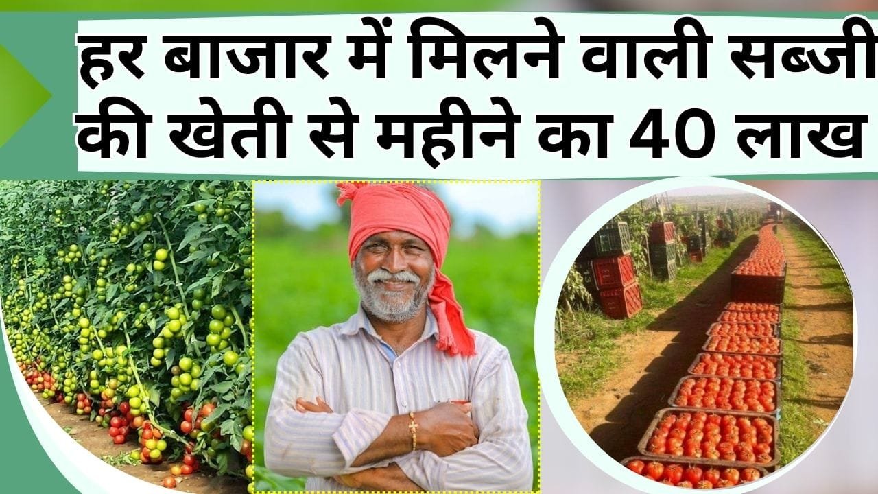 हर बाजार में मिलने वाली सब्जी की खेती से घर-गाड़ी सब कुछ खरीद लिया, महीने के 40 लाख दनादन आ रहे हैं