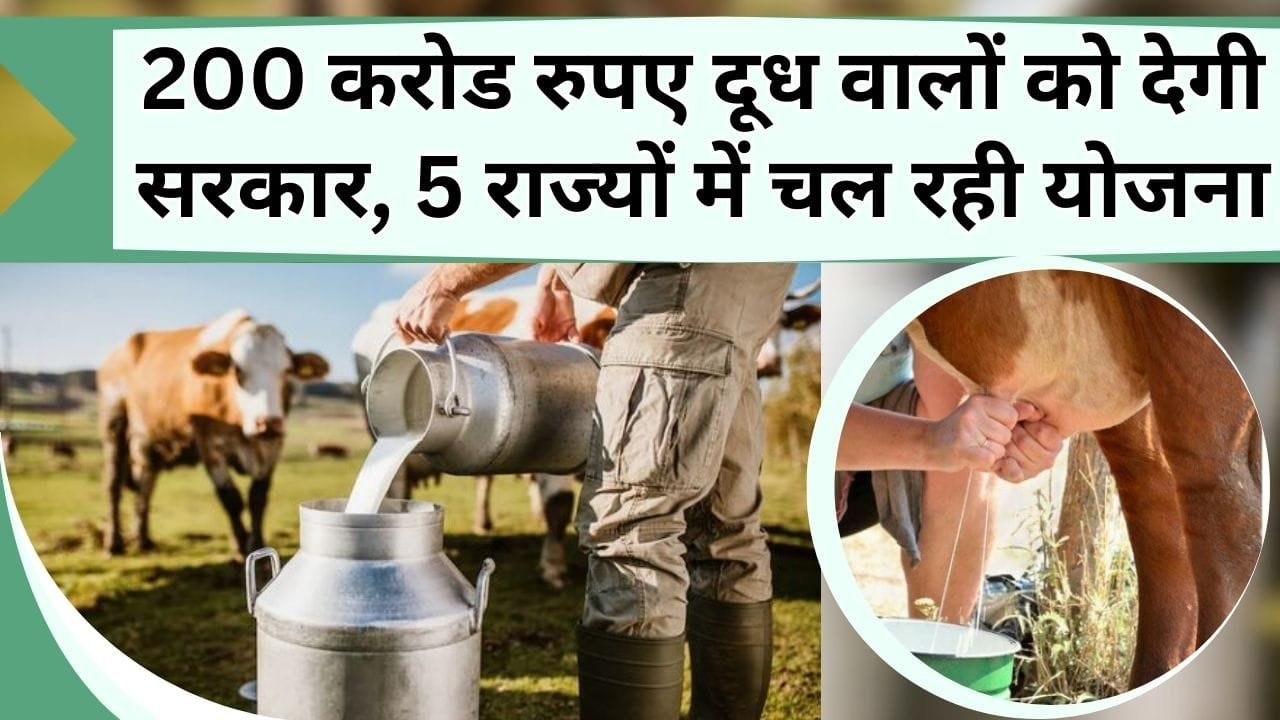 200 करोड रुपए दूध वालों को देगी सरकार, 5 राज्यों में चलने वाली योजना का क्या आपको मिल रहा लाभ ?