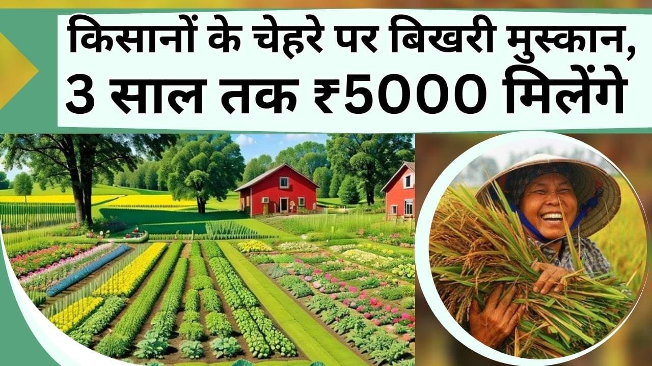 किसानों के चेहरे पर बिखरी मुस्कान, 3 साल तक ₹5000 देगी सरकार, जानिए क्या है जैविक खेती योजना