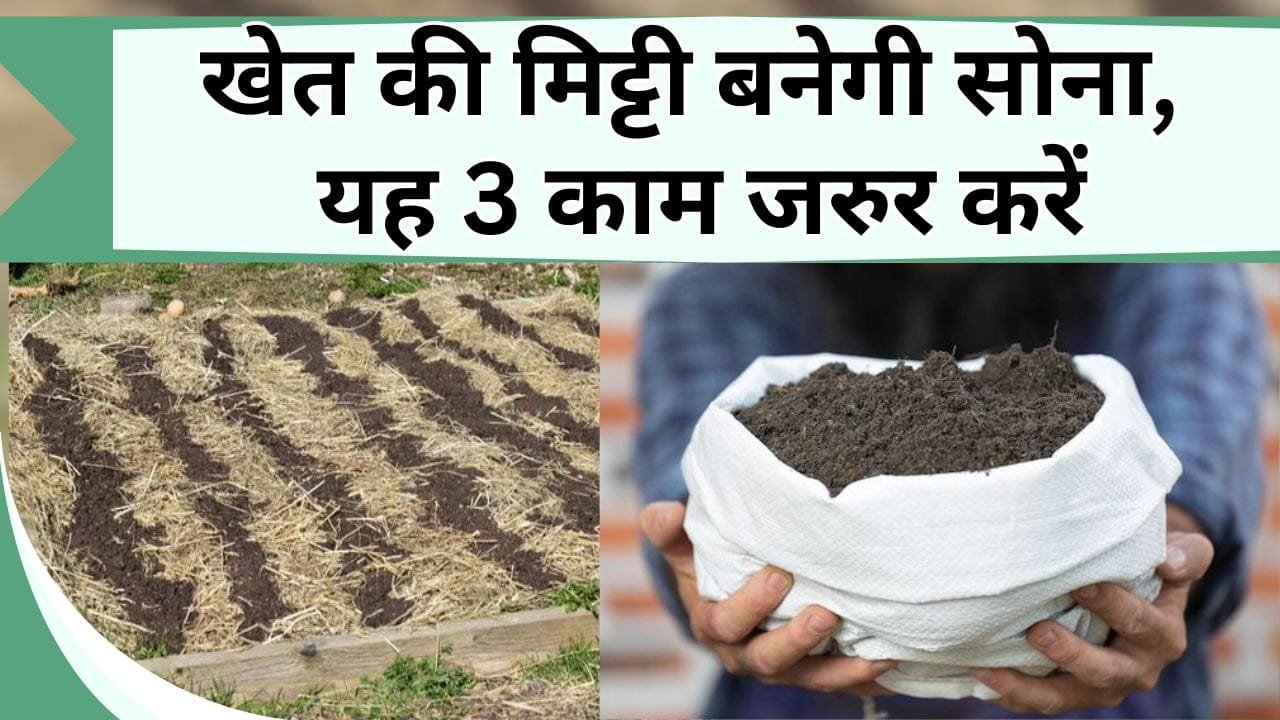 खेत की मिट्टी बनेगी सोना, यह 3 काम जरुर करें, मिट्टी होगी उपजाऊ, सेहतमंद होगी उपज