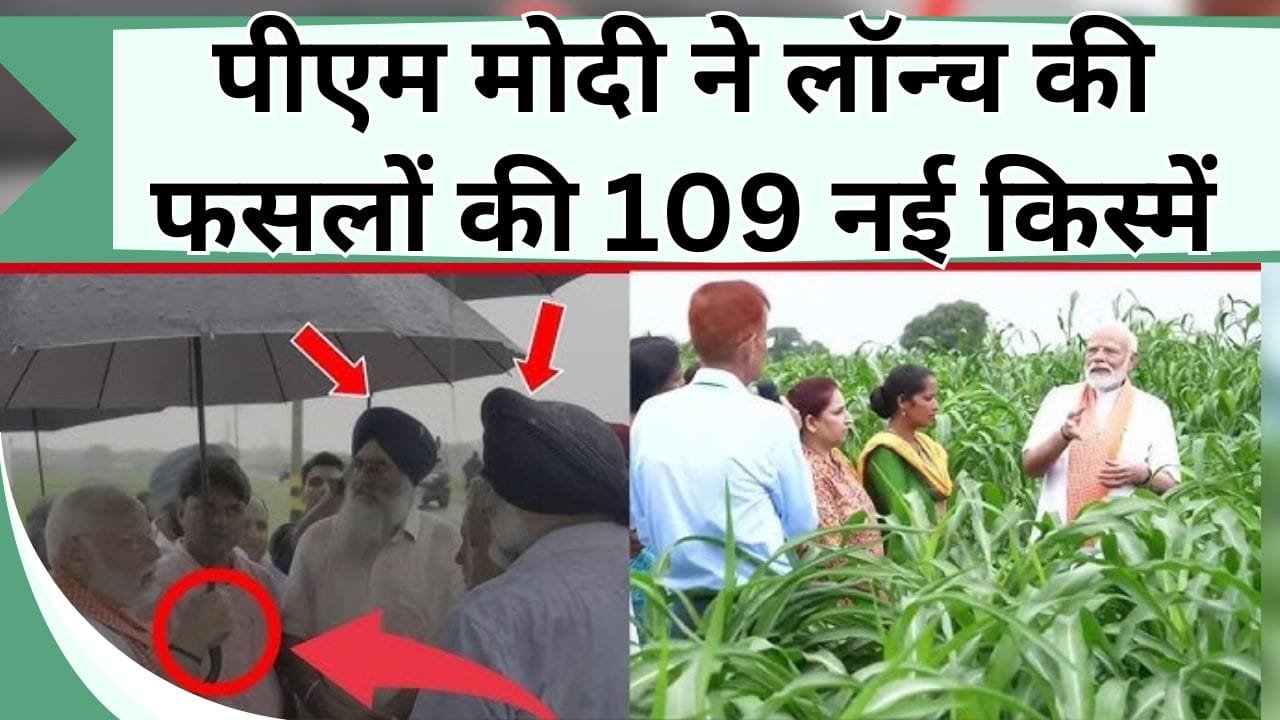 पीएम मोदी ने लॉन्च की फसलों की 109 नई किस्में, बंपर पैदावार से किसान होंगे मालमाल, सभी जलवायु में होंगी फिट, जाने इनके नाम