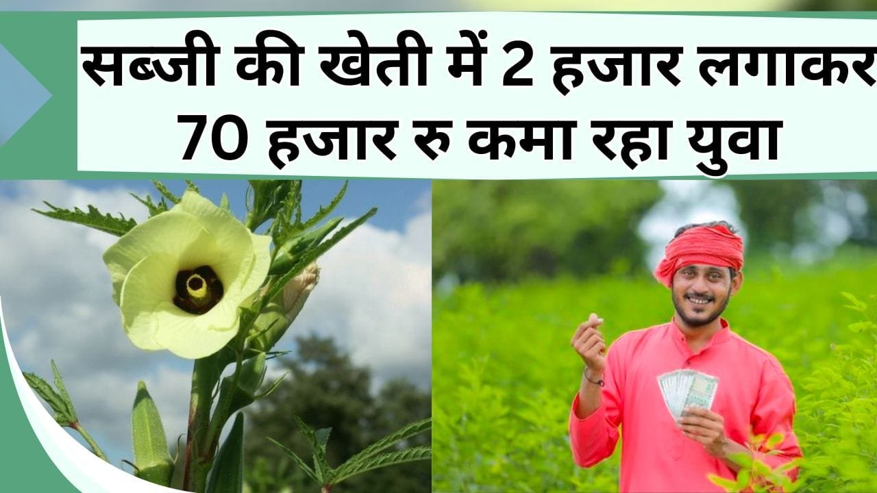 सब्जी की खेती में 2 हजार रु लगाकर 70 हजार रु कमा रहा युवा, किसानों के बीच बना मिसाल