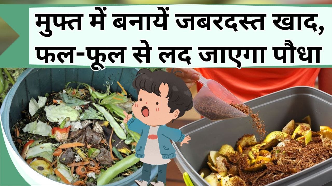मुफ्त में बनायें जबरदस्त खाद, फल-फूल से लद जाएगा पौधा, घर पर फेके जानी वाली चीजे आएँगी काम