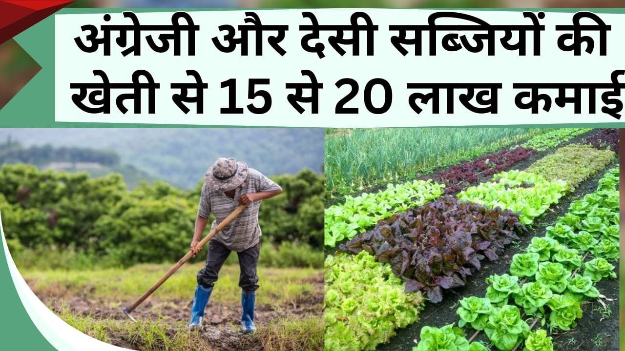 अंग्रेजी और देसी सब्जियों की खेती से 15 से 20 लाख कमाई, नुकसान से बचने के लिए किसान ने लगाया गजब का दिमाग