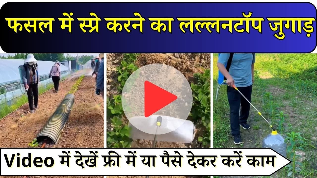 फसल में स्प्रे करने का लल्लनटॉप जुगाड़, 1% नहीं होगी फसल खराब, Video में देखें फ्री में या पैसे देकर करें काम