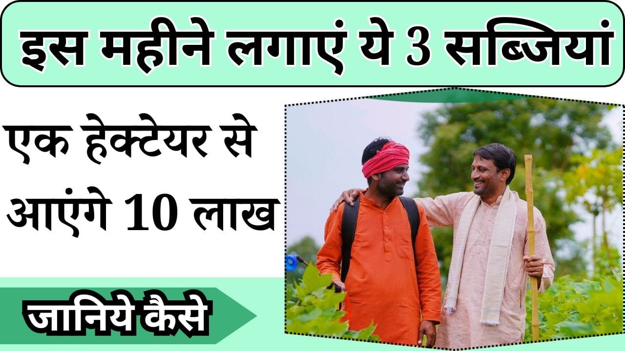 इस महीने लगा दें ये 3 सब्जियां, एक हेक्टेयर से आएंगे 10 लाख रु, जानिये कैसे