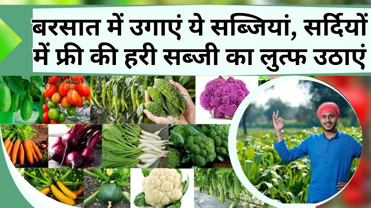 बरसात में उगाएं ये सब्जियां, सर्दियों में घर पर ही फ्री की हरी सब्जी का लुत्फ उठाएं, जानें गमले में बागवानी के तरीके