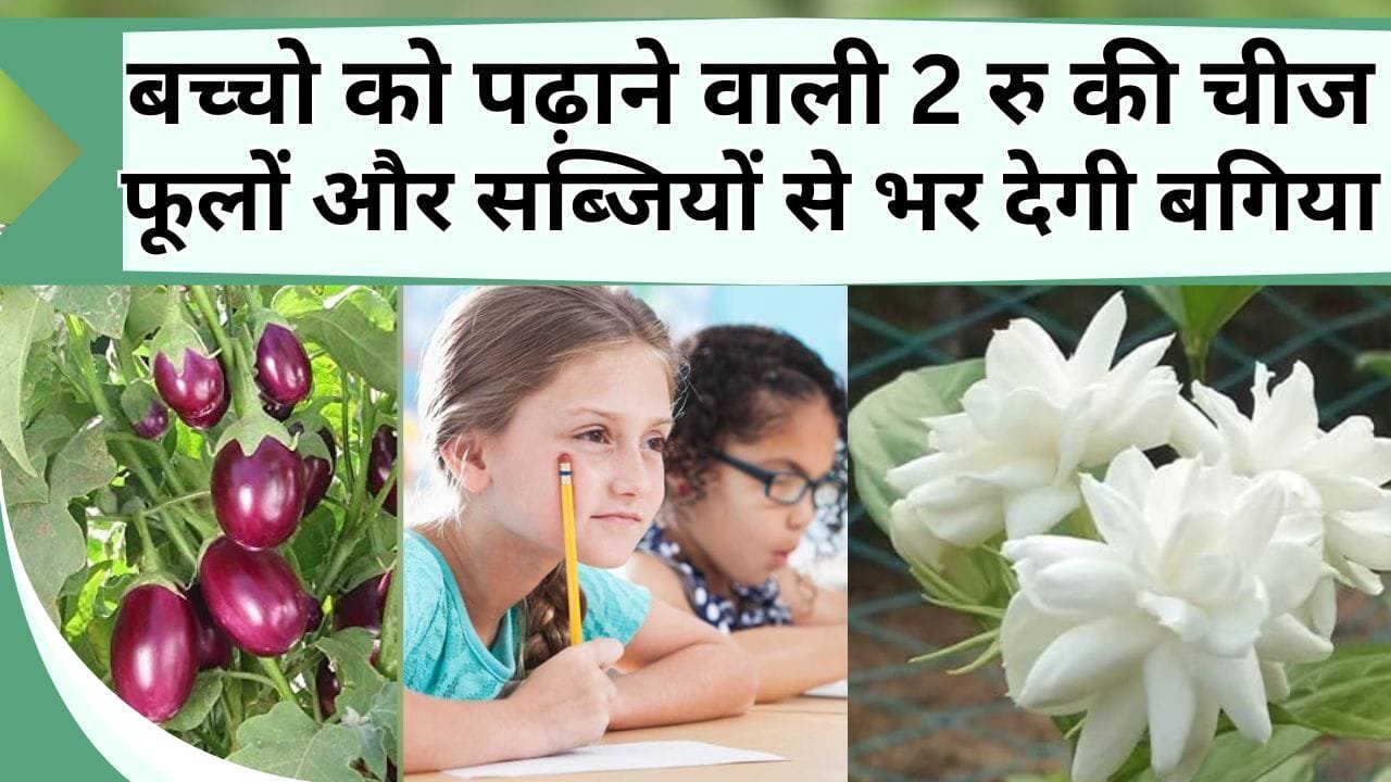 बच्चो को पढ़ाने वाली 2 रु की चीज फूलों और सब्जियों से भर देगी बगिया, जानें क्या है ये और कैसे करें इसका इस्तेमाल