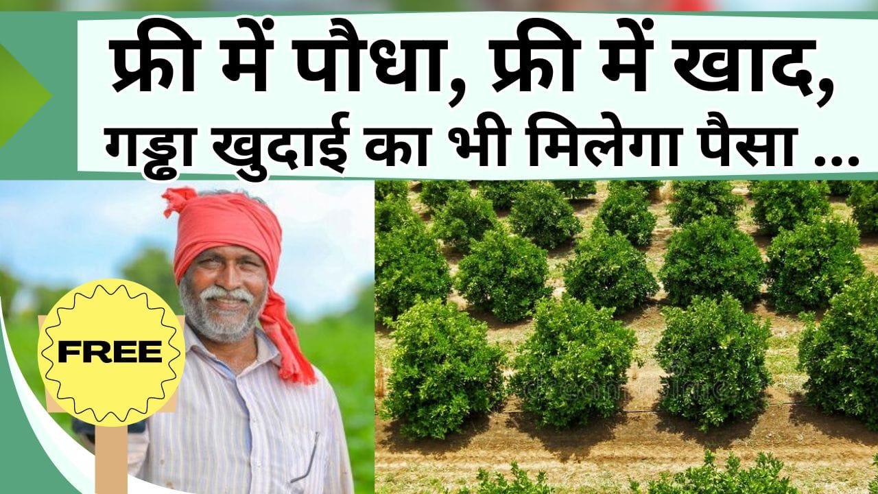 फ्री में पौधा, फ्री में खाद, गड्ढा खुदाई का भी मिलेगा पैसा, इन किसानों की निकल पड़ी, जाने क्या है योजना