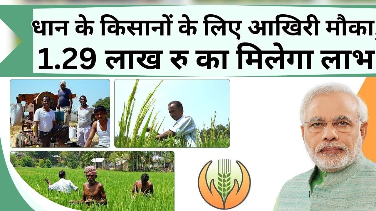 धान के किसानों के लिए आखिरी मौका, 1.29 लाख रु का मिलेगा लाभ, जानें आवेदन की प्रक्रिया
