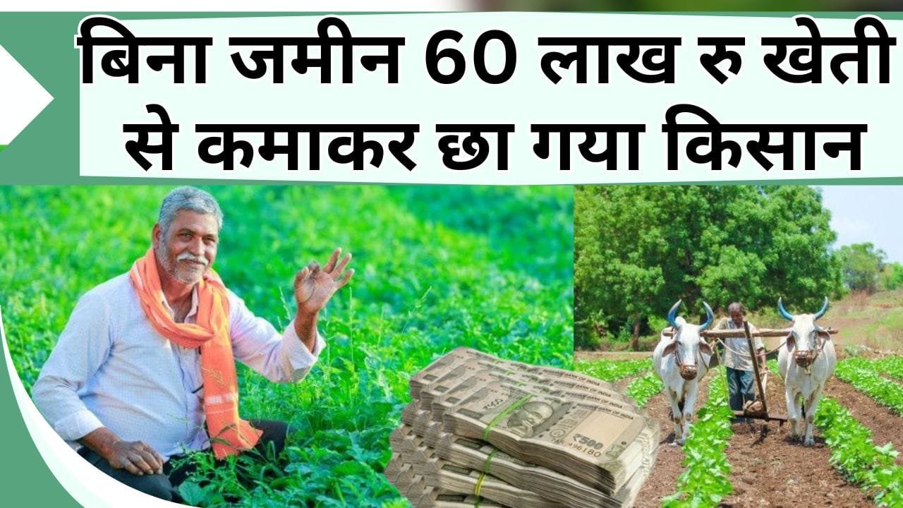 बिना जमीन 60 लाख रु खेती से कमाकर छा गया किसान, दूसरों की जमीन पर उगाई इन फसलों से मिल रही तगड़ी कमाई