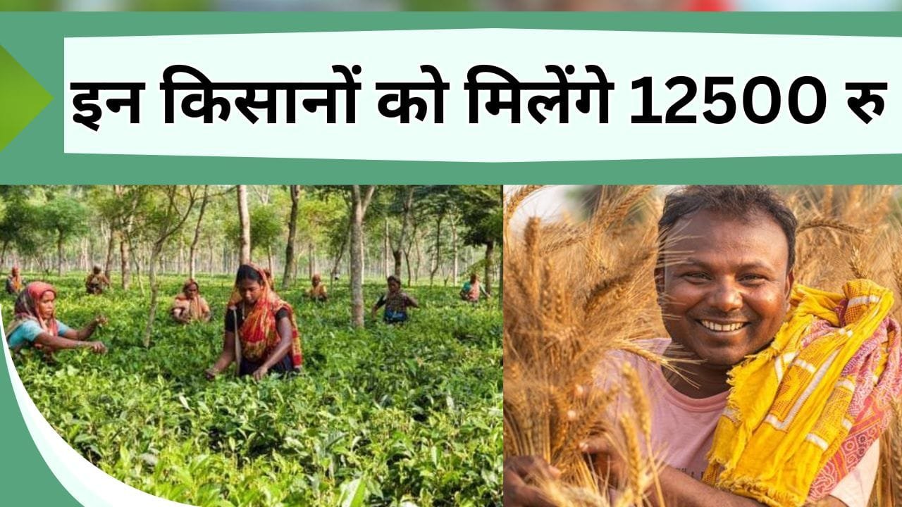 इन किसानों को मिलेंगे 12500 रु, जानिये इस कल्याणकारी योजना के बारें में पूरी जानकारी