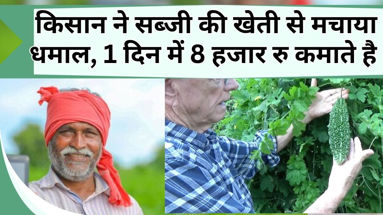 किसान ने सब्जी की खेती से मचाया धमाल, 1 दिन में 8 हजार रु कमाते है, 10 बेरोजगारों के लिए मसीहा बने, जानिये कैसे