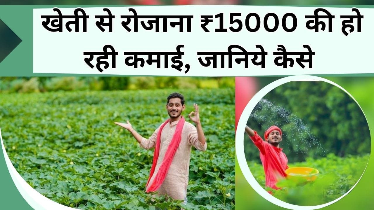 खेती से रोजाना ₹15000 की हो रही कमाई, जानिए किन फसलों की खेती से किसान कमा रहे अंधा पैसा