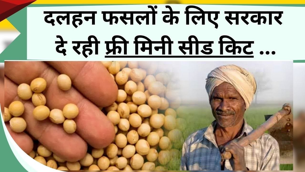 दलहन फसलों के लिए सरकार दे रही फ्री मिनी सीड किट, यहाँ जानें क्या है सरकार की योजना और किसे मिलेगा लाभ