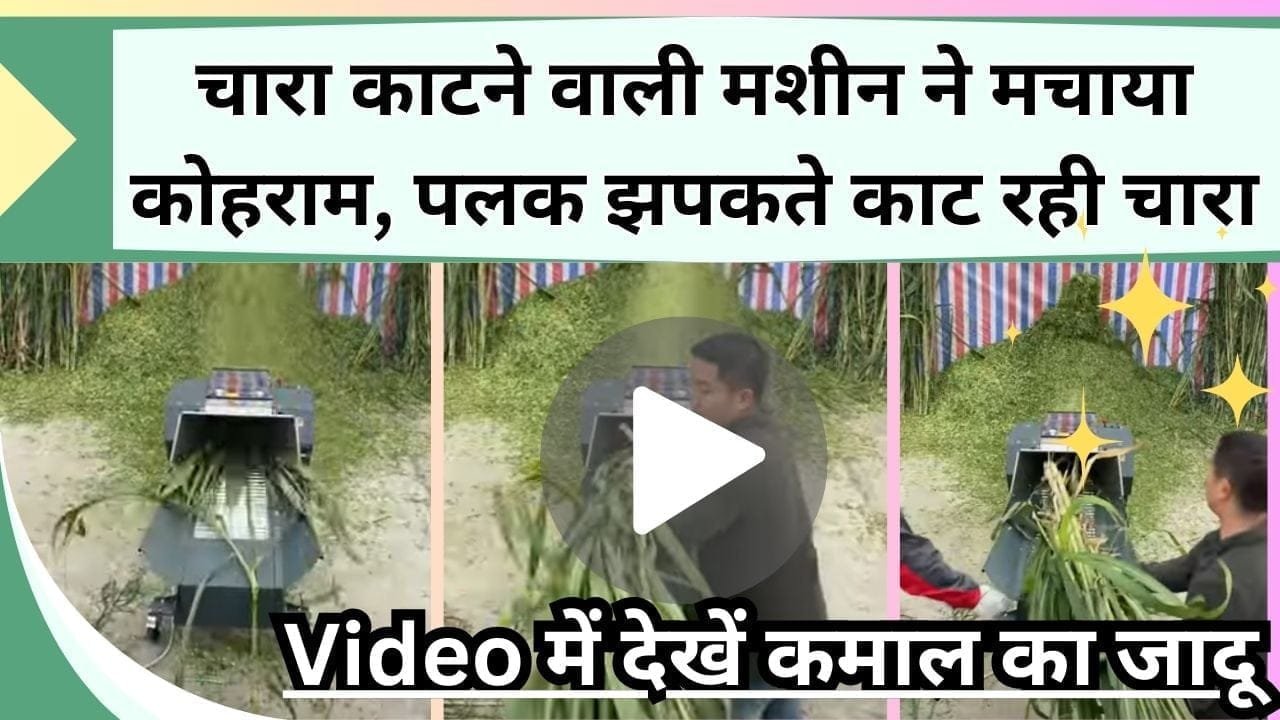 चारा काटने वाली मशीन ने मचाया कोहराम, पलक झपकते काट रही चारा, Video में देखें कमाल का जादू, पशुपालकों के लिए है Best