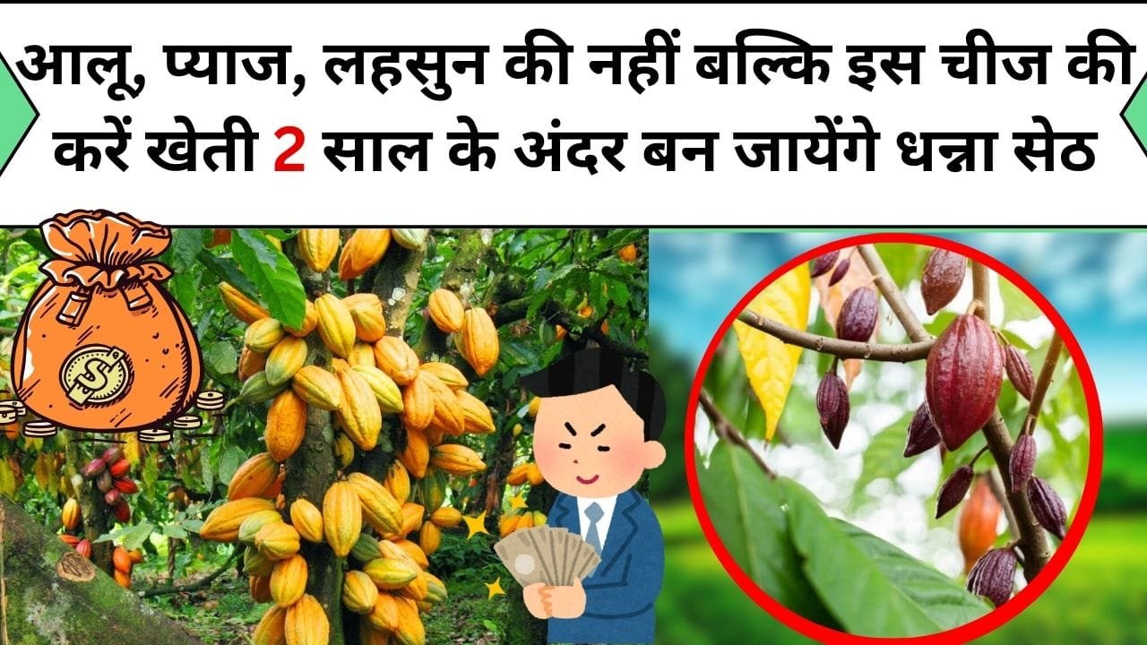 आलू, प्याज, लहसुन की नहीं बल्कि इस चीज की करें खेती 2 साल के अंदर बन जायेंगे धन्ना सेठ
