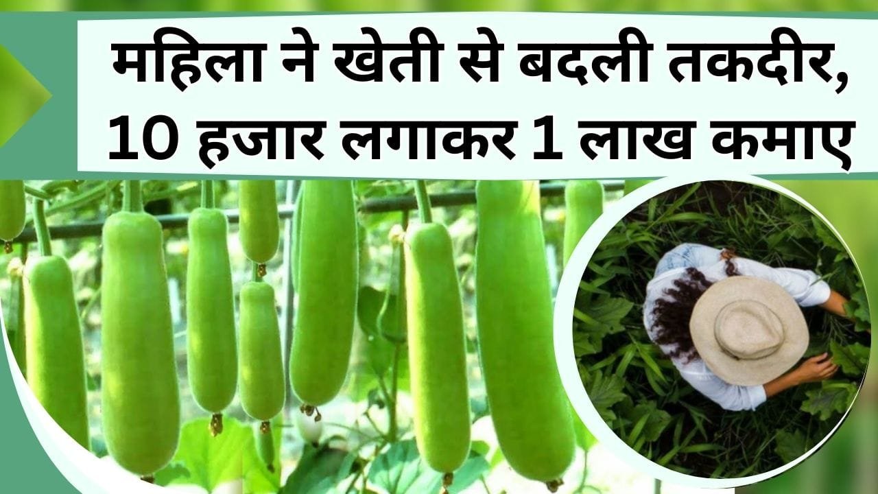 महिला ने खेती से बदली तकदीर, 10 हजार लगाकर 1 लाख कमाए, सरकारी योजना का उठाया लाभ