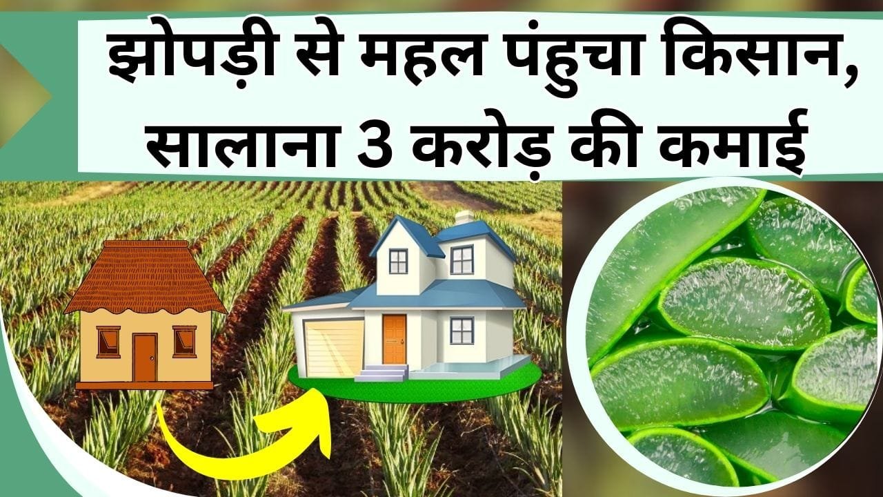 झोपड़ी से महल पंहुचा किसान, फेके गए पौधे लगाकार सालाना 3 करोड़ से ज्यादा की कर रहे कमाई
