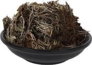 This image has an empty alt attribute; its file name is 200-2003332-natures-yard-original-imags47ze6xrhhmh.webp