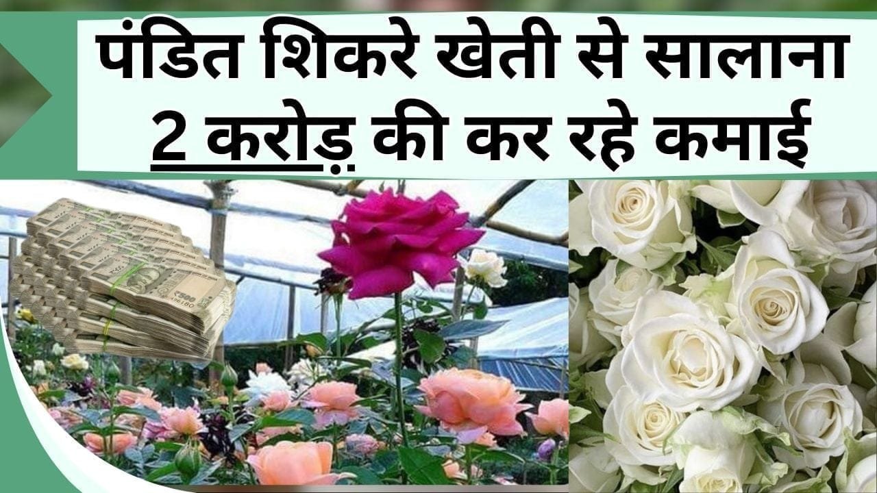 पंडित शिकरे खेती से सालाना 2 करोड़ की कर रहे कमाई, जानिए किन फूलों की खेती से अंधाधुंध छाप रहे हैं पैसा