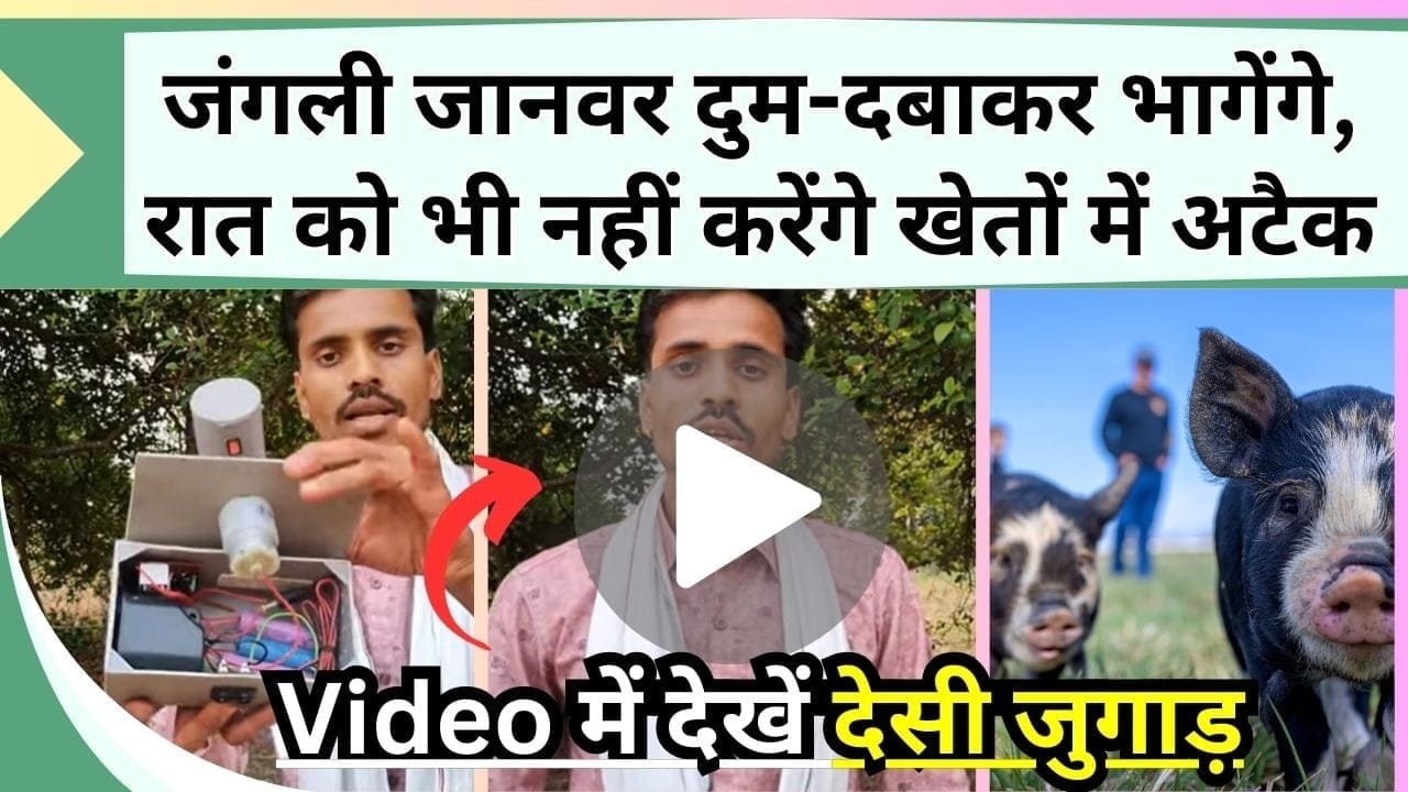 जंगली जानवर दुम-दबाकर भागेंगे, रात को भी नहीं करेंगे खेतों में अटैक, Video में देखें देसी जुगाड़ से किसान ने किया कमाल।