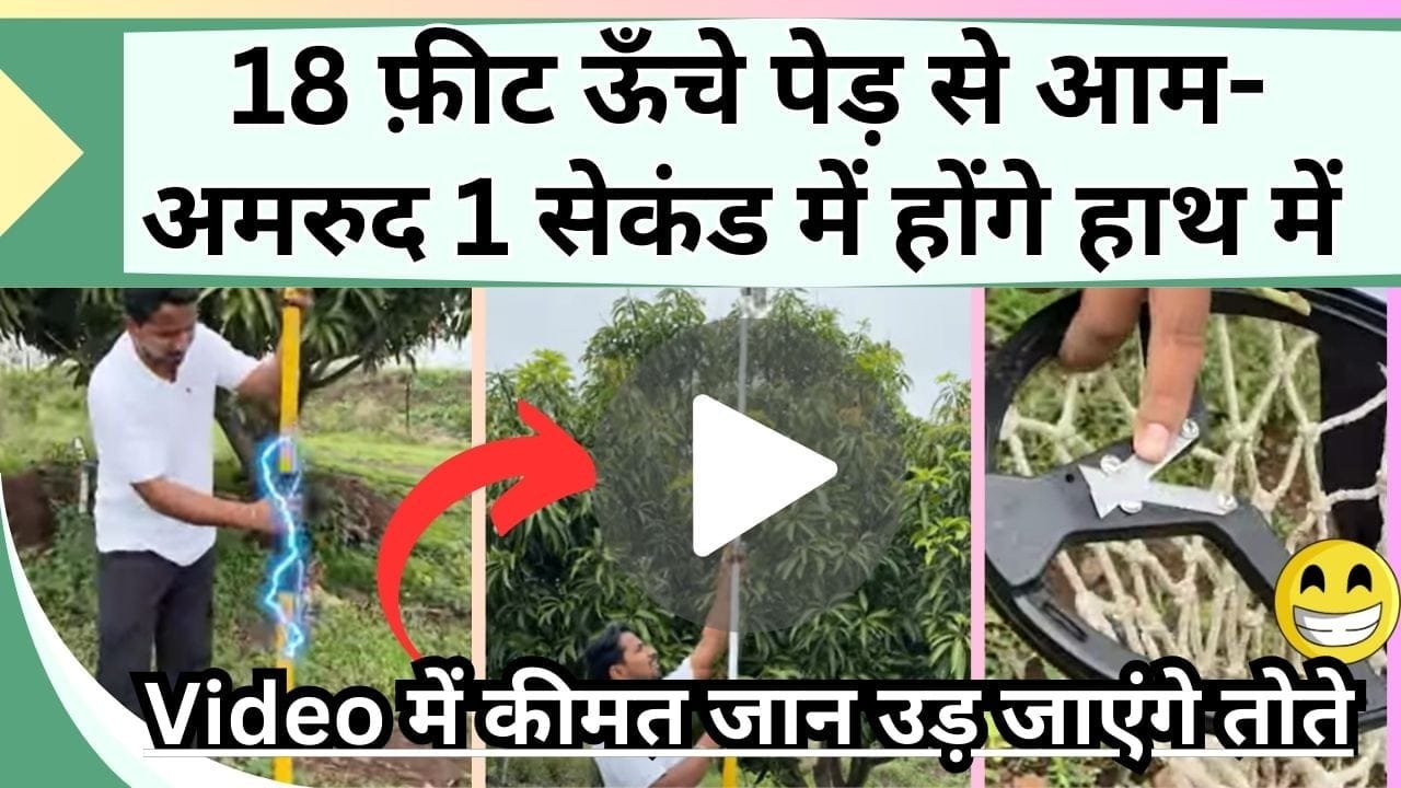 18 फ़ीट ऊँचे पेड़ से आम-अमरुद 1 सेकंड में होंगे हाथ में, Video में इस यंत्र की कीमत जान उड़ जाएंगे तोते