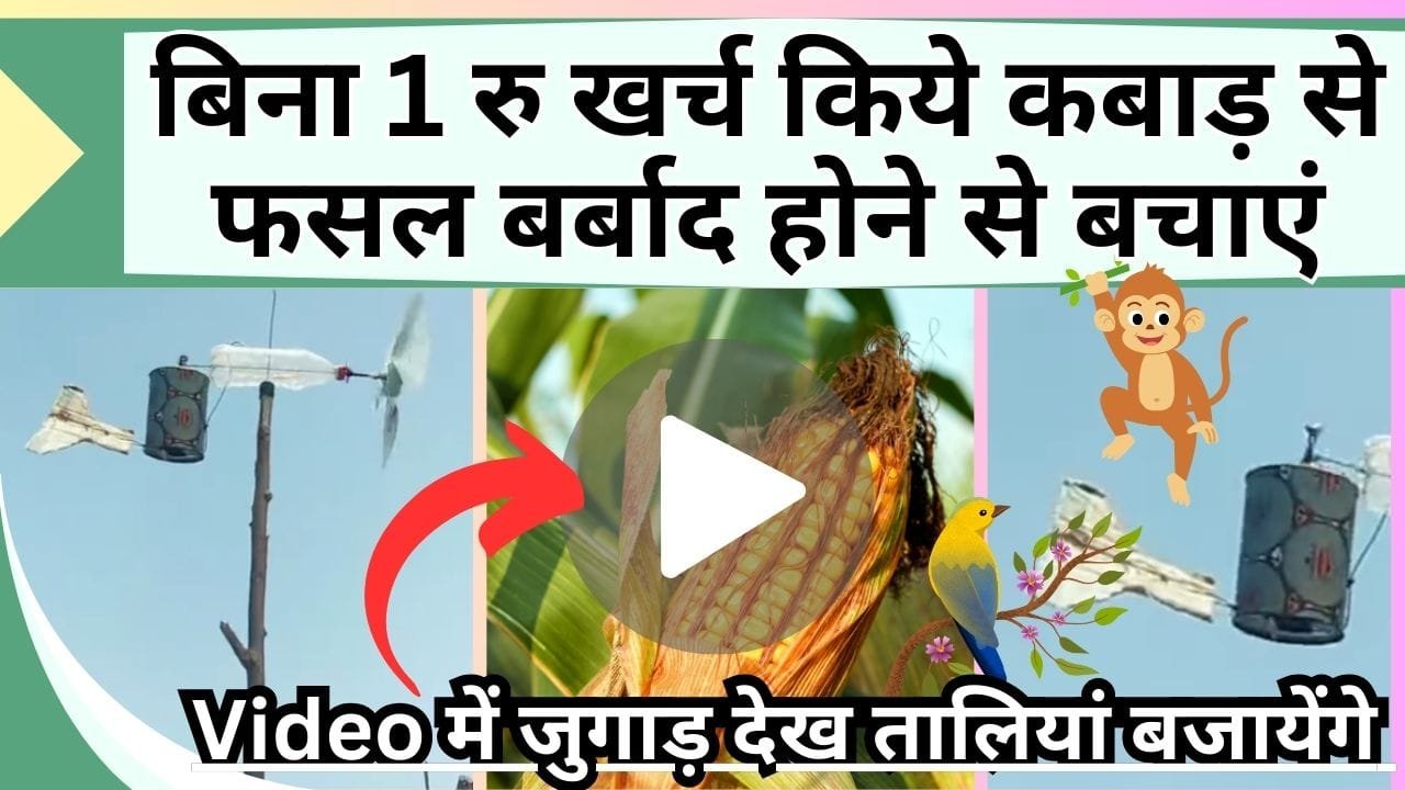 बिना 1 रु खर्च किये कबाड़ से फसल बर्बाद होने से बचाएं, Video में जुगाड़ देख तालियां बजायेंगे