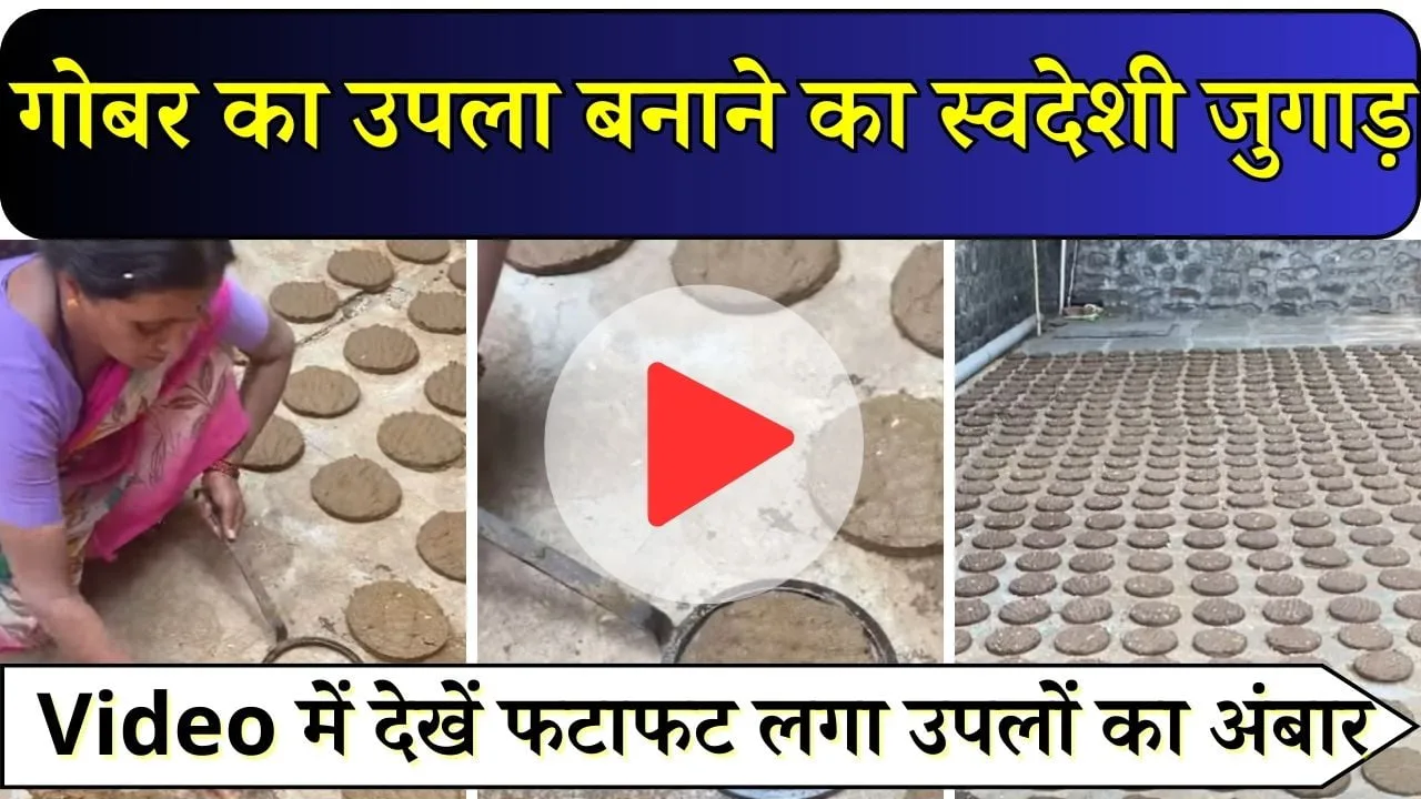 गोबर का उपला बनाने का देसी जुगाड़, Video में देखें फटाफट लगा उपलों का अंबार, देखने में सुन्दर और गोल कंडे