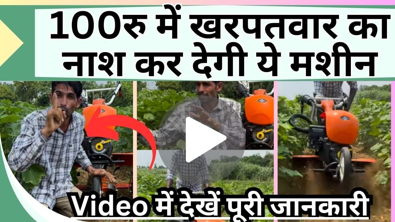 100रु में खरपतवार का नाश कर देगी ये मशीन, Video में देखें पूरी जानकारी, हजारों रु की होगी बचत